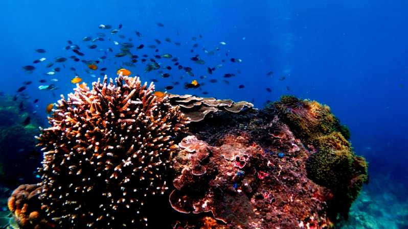 Koh Ngai: Zümrüt Mağarası, Kradan, Chueak Özel Uzun Kuyruklu Tekne